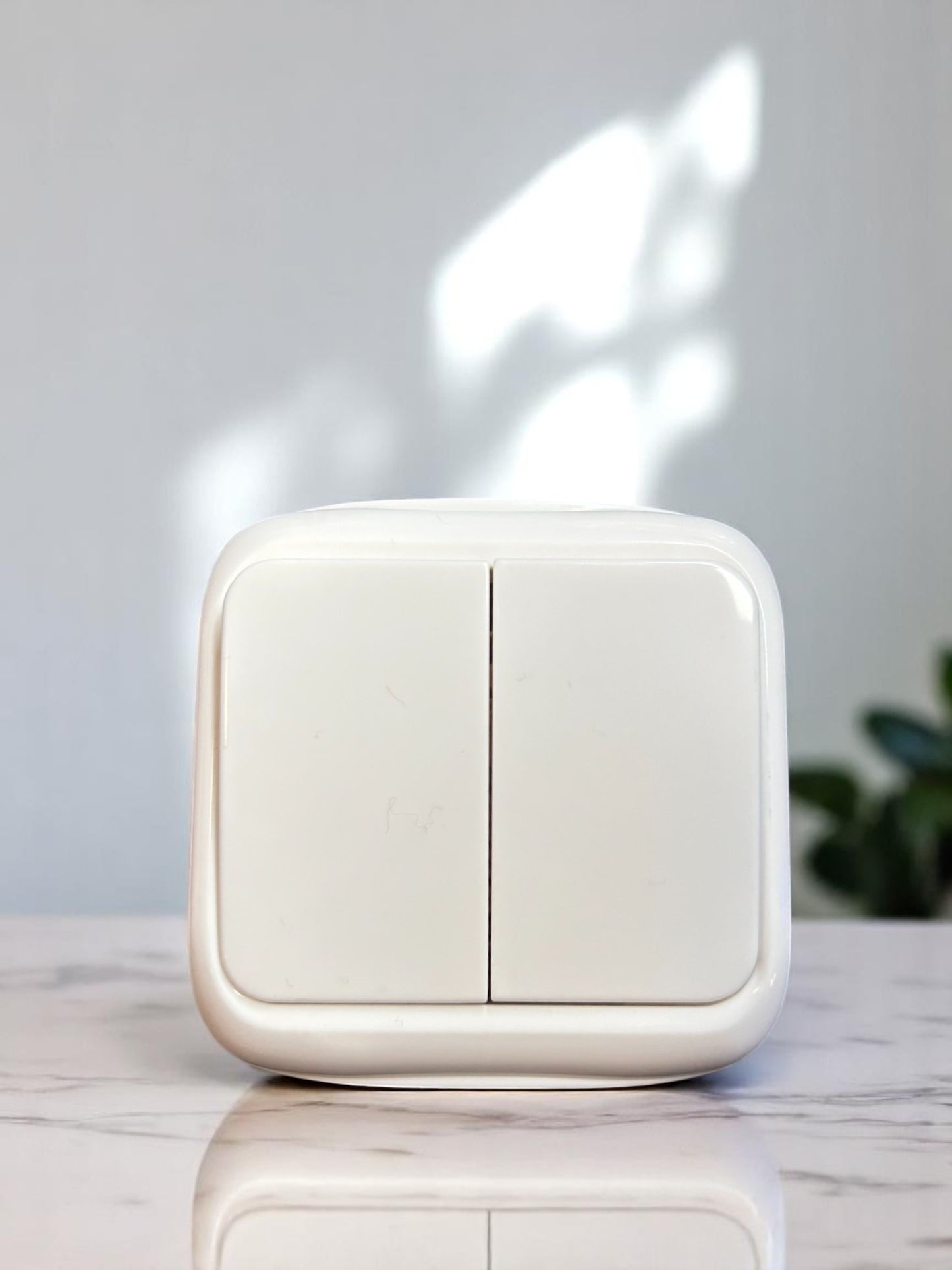 Interruptor superficie base de pared