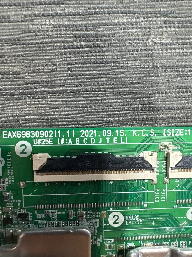 Main EAX69830902 1.1